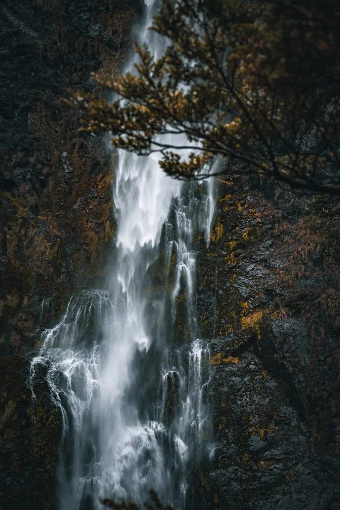 Arthur's Pass
