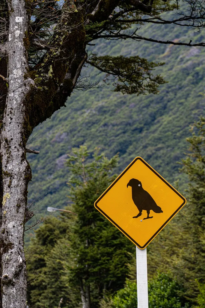 Arthur's Pass