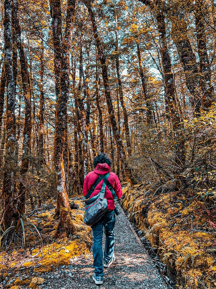 Arthur's Pass