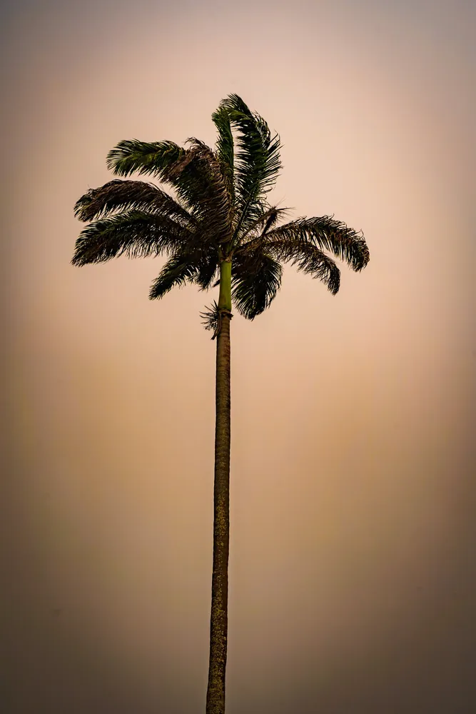 Barbados