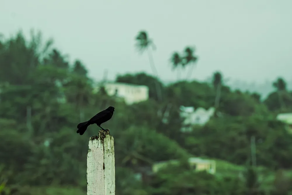 Barbados