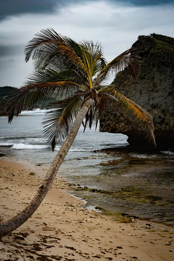 Barbados