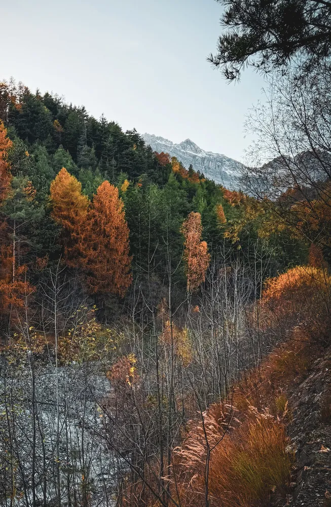 Bardonecchia