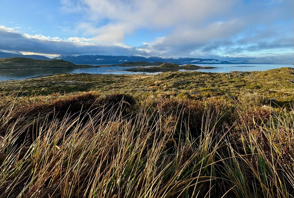 Beagle Channel