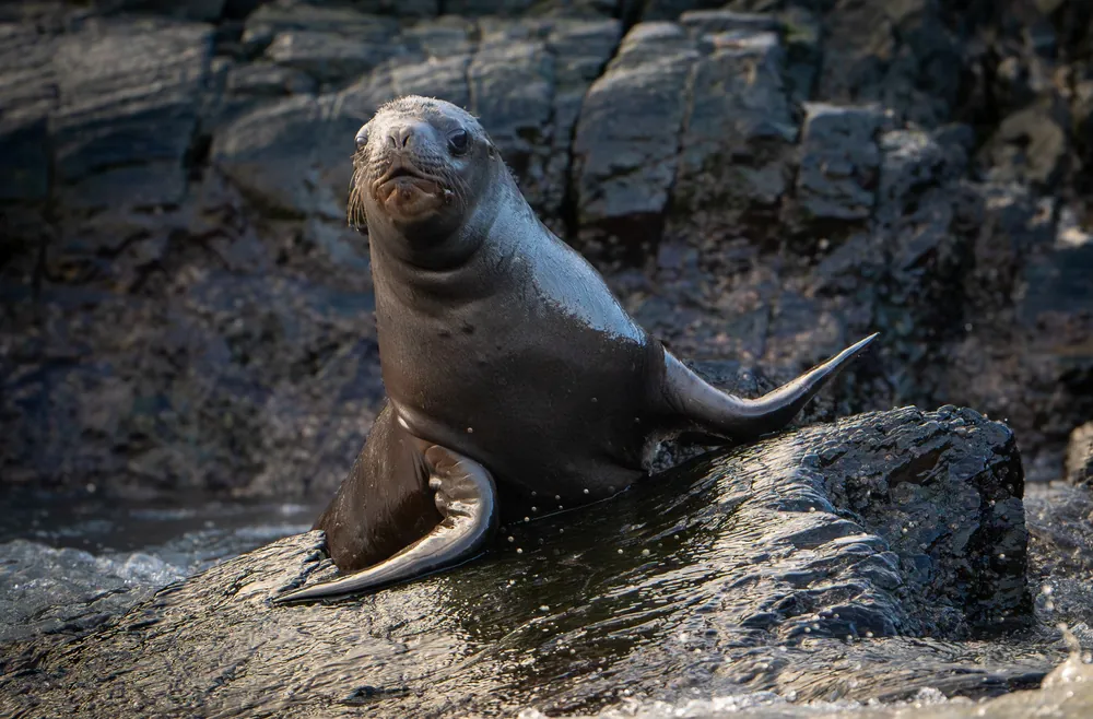 Beagle Channel