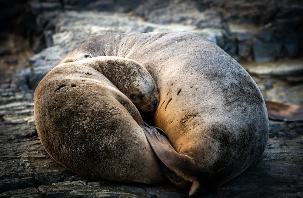 Beagle Channel