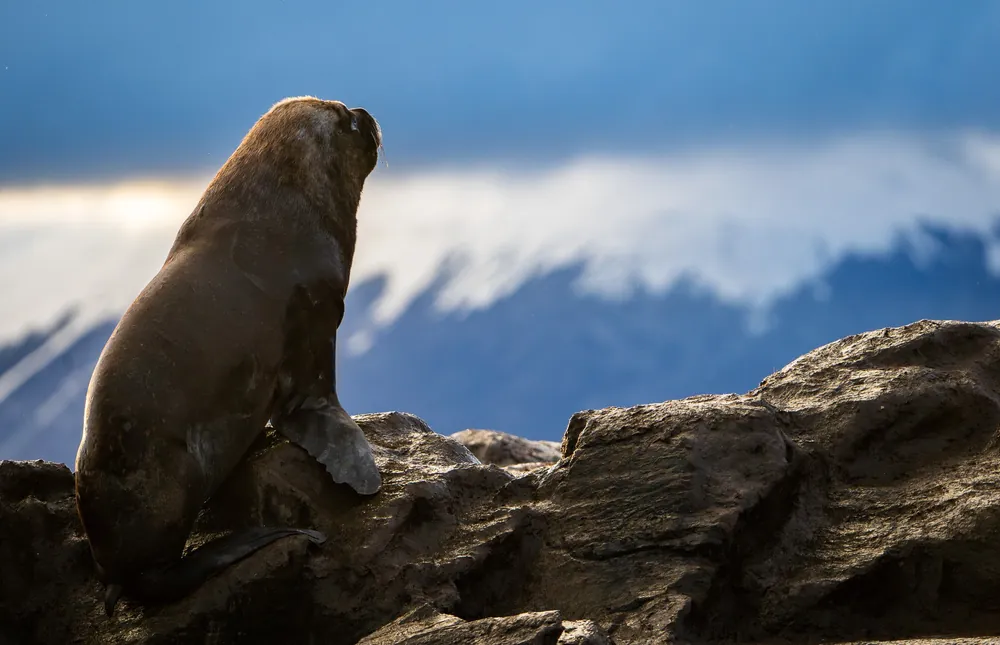 Beagle Channel