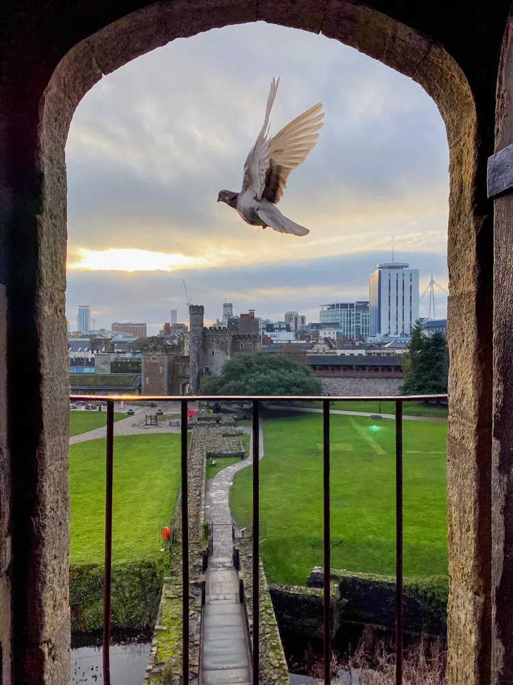 Cardiff