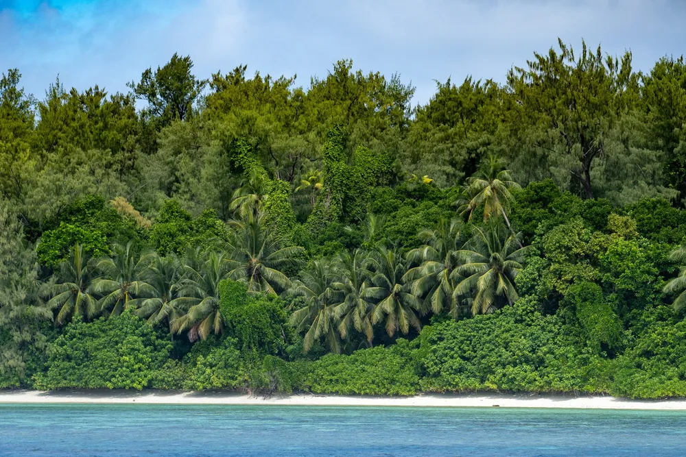 Conflict Islands