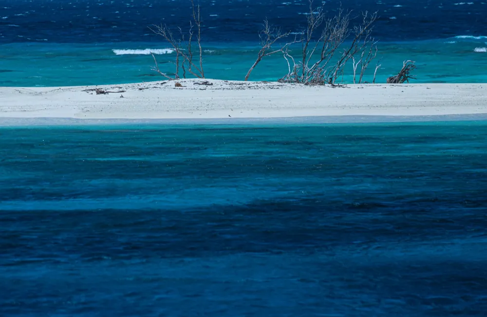 Conflict Islands