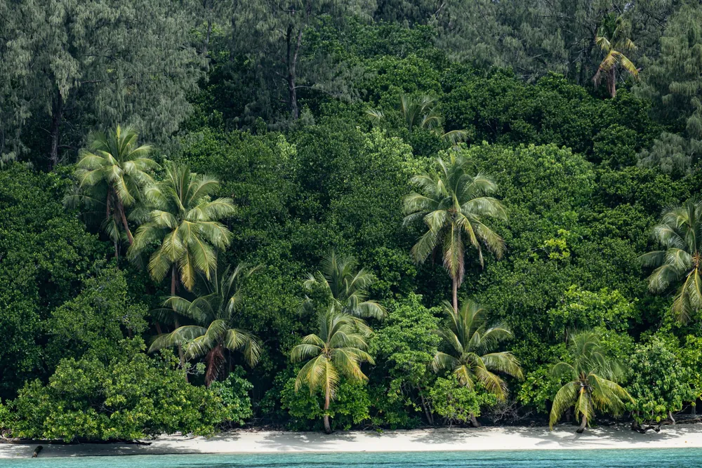 Conflict Islands