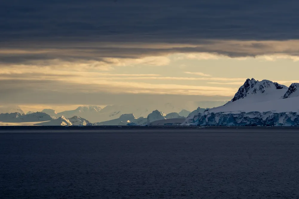Cuverville Island