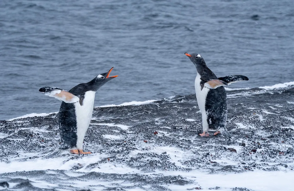 Deception Island
