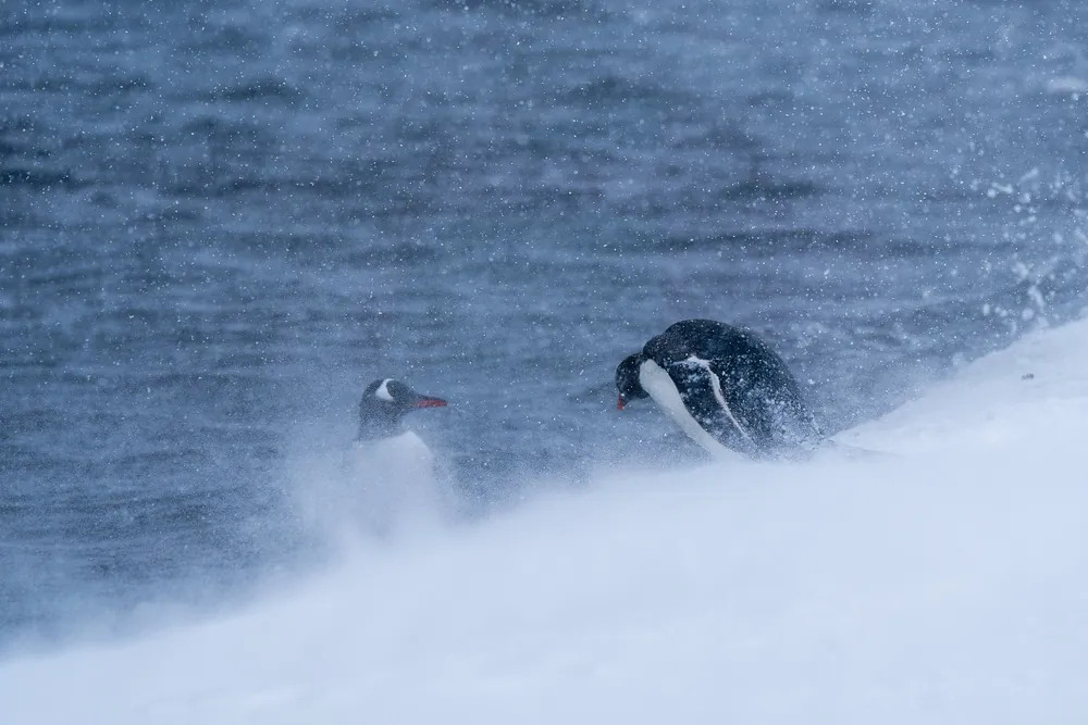 Deception Island