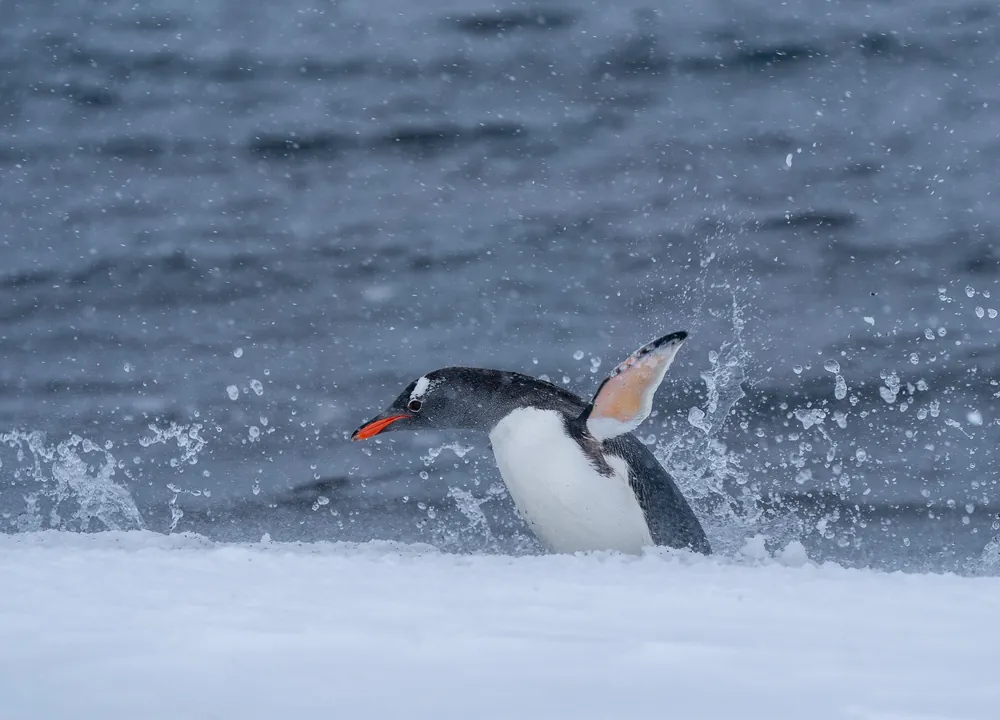 Deception Island