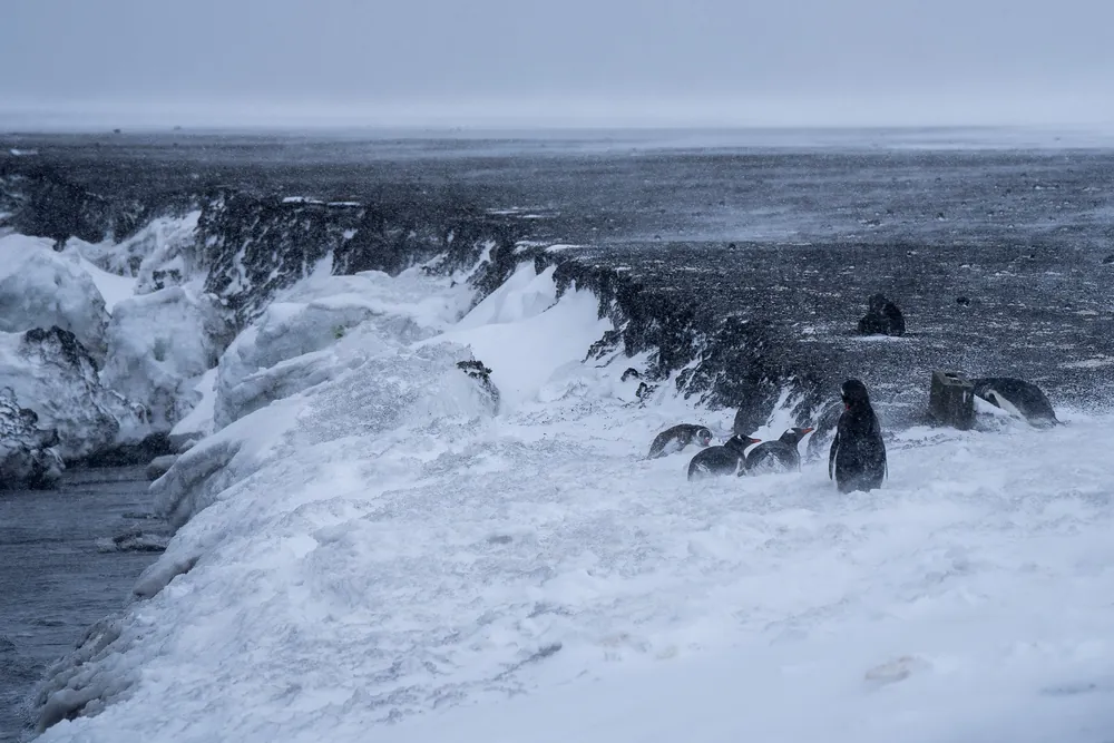 Deception Island