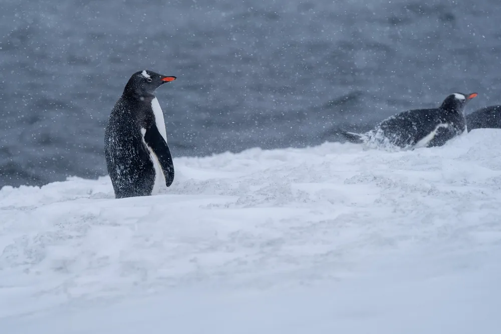 Deception Island