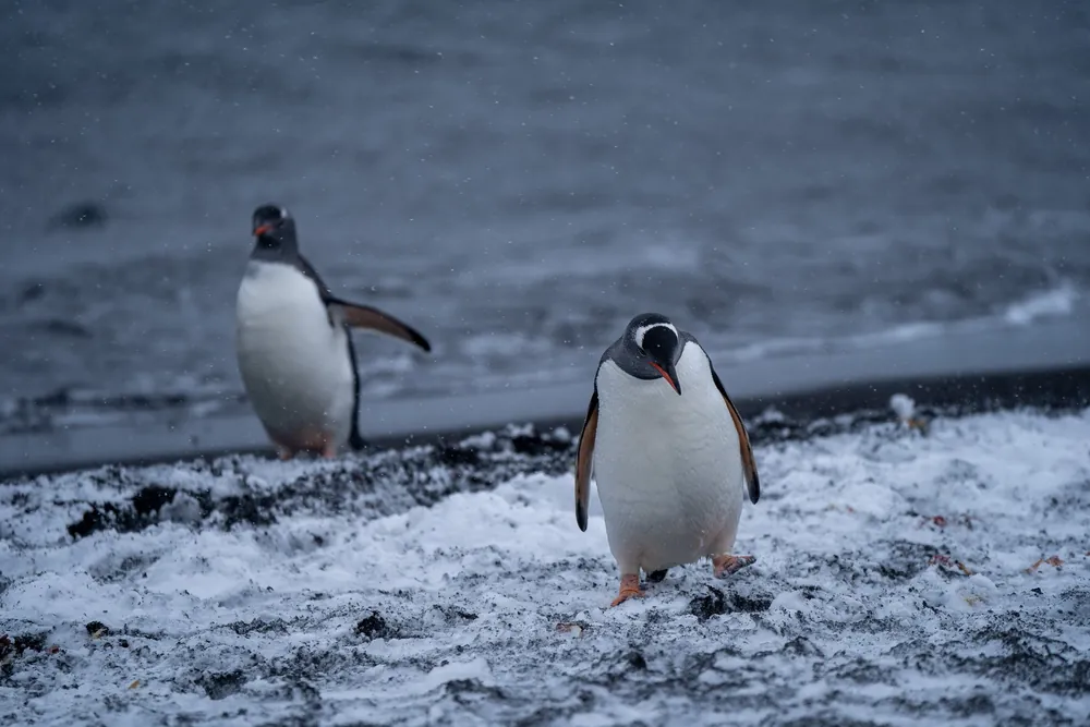 Deception Island