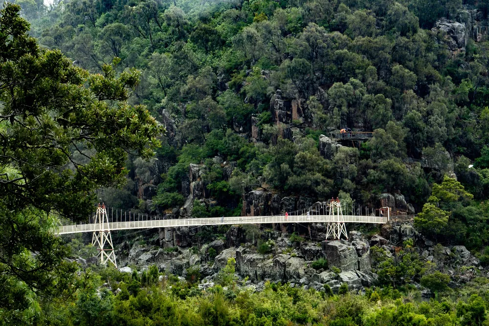 Launceston
