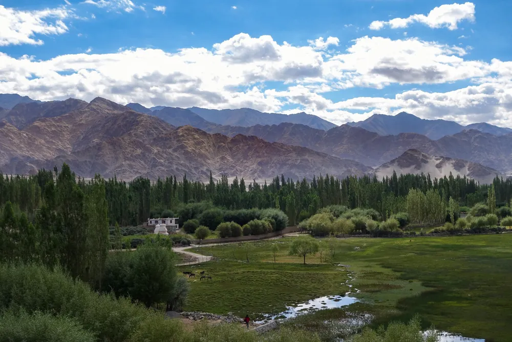 Leh & Khardungla Pass