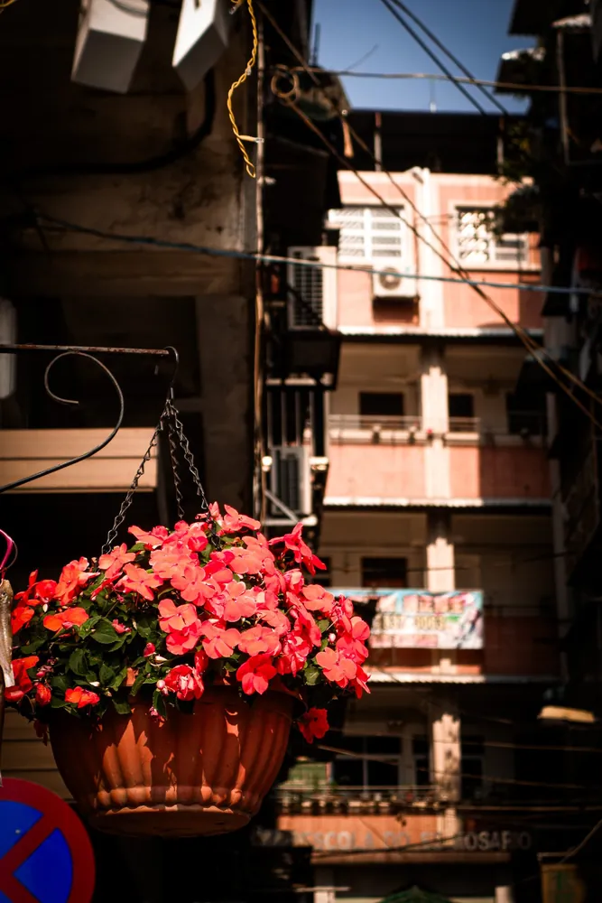Macau
