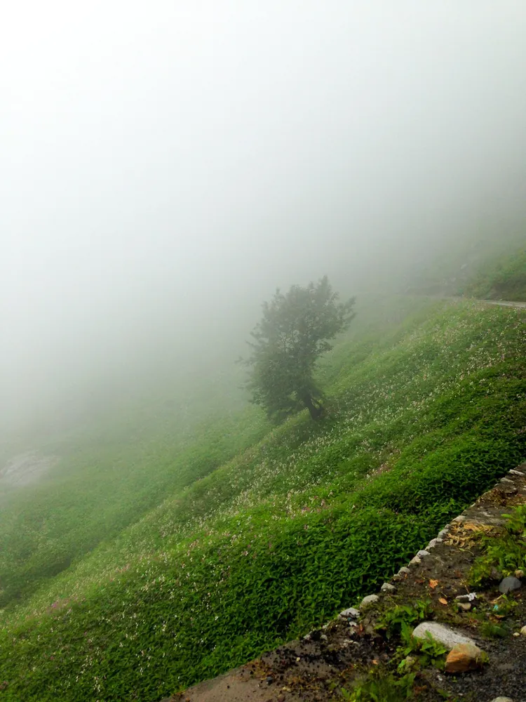 Manali