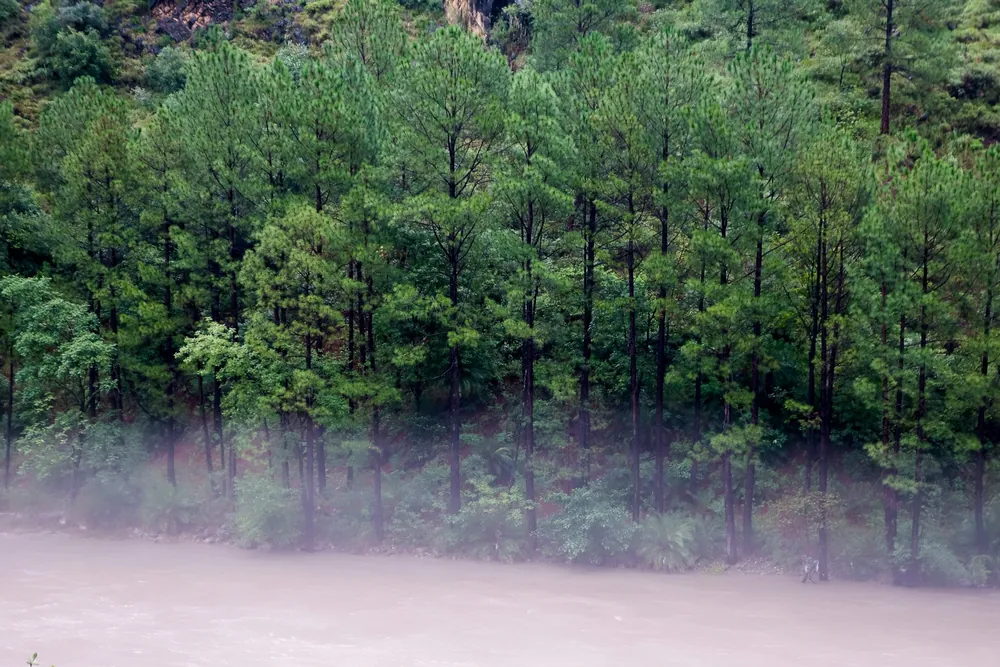 Manali