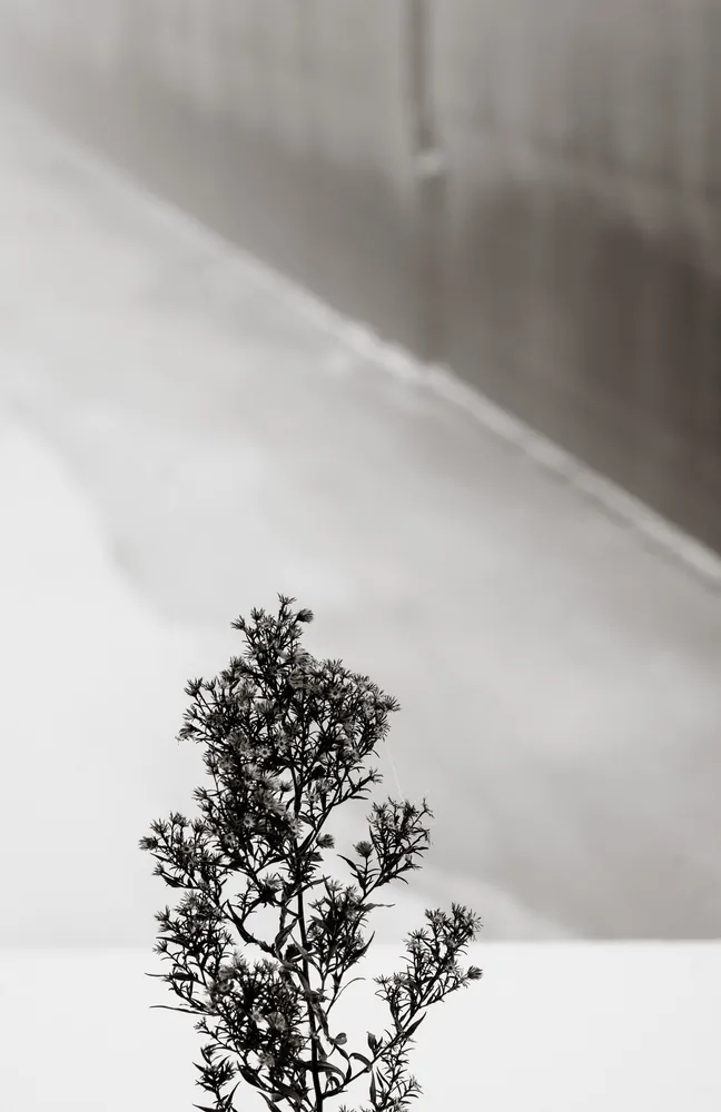 Montréal