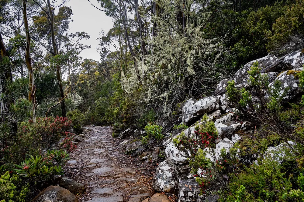 Mount Wellington