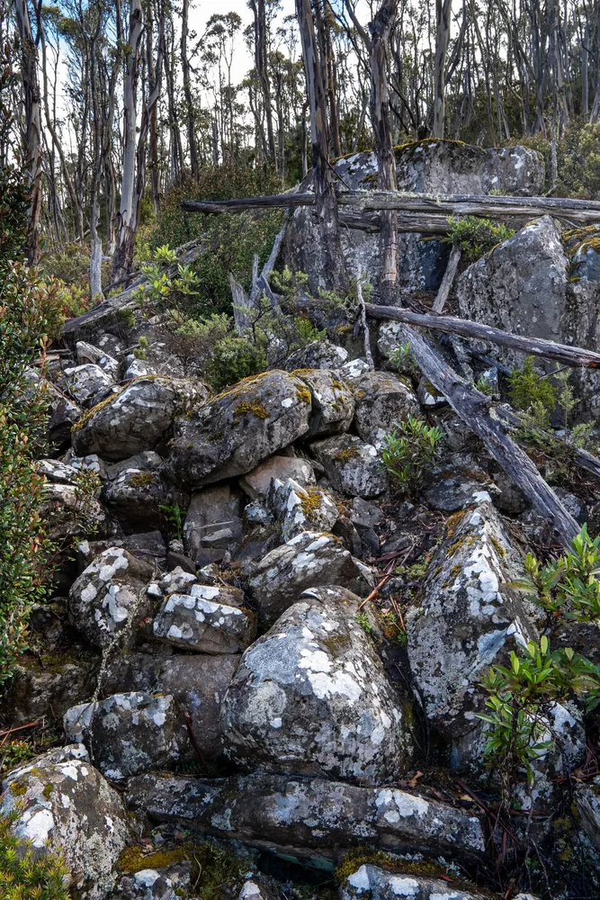 Mount Wellington