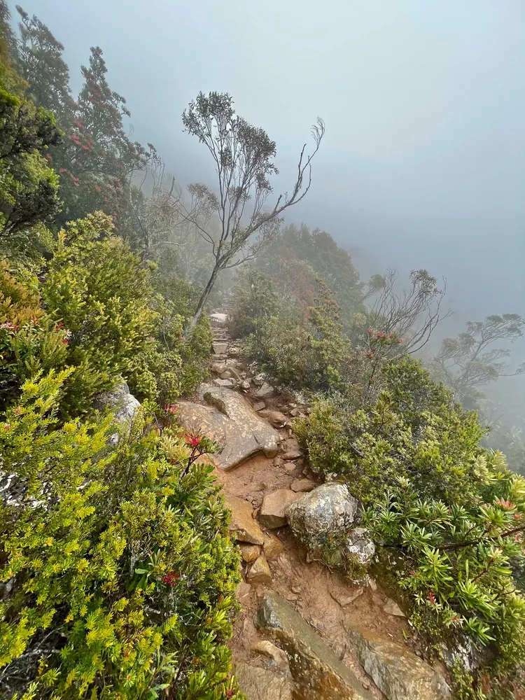 Mount Wellington