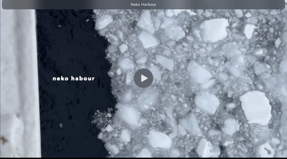 Neko Harbour (video)