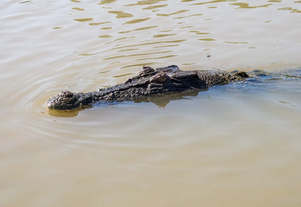 Northern Territory