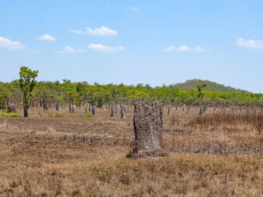 Northern Territory