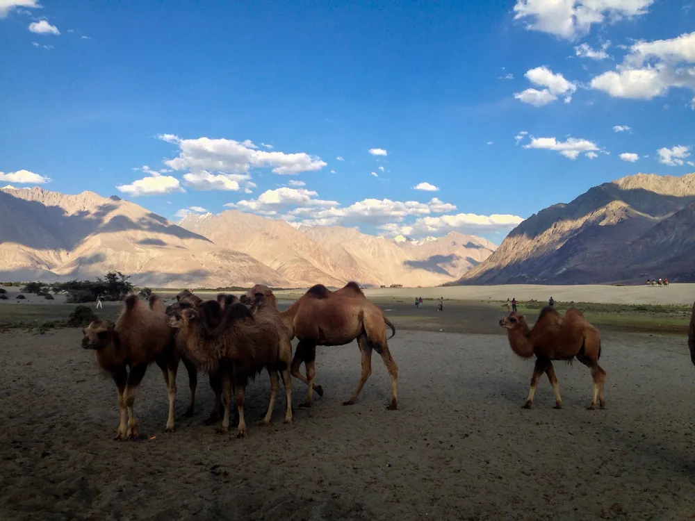 Nubra Valley, Turtuk, Hundar, Diskit