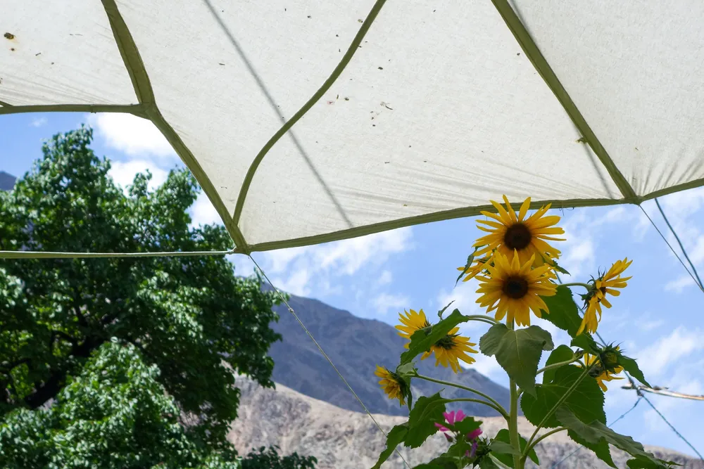 Nubra Valley, Turtuk, Hundar, Diskit