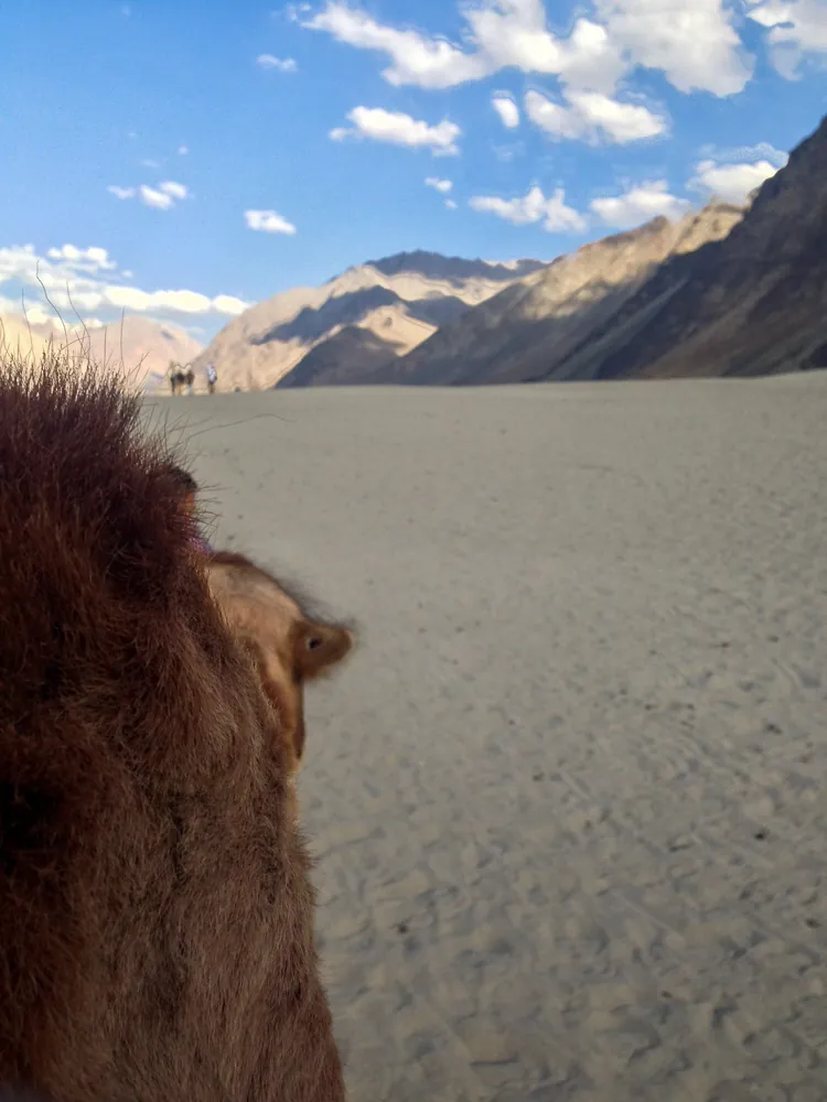 Nubra Valley, Turtuk, Hundar, Diskit