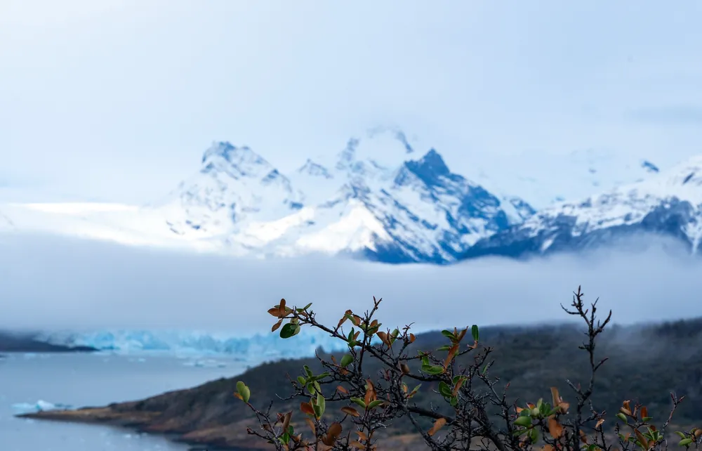 Perito Moreno Glacier