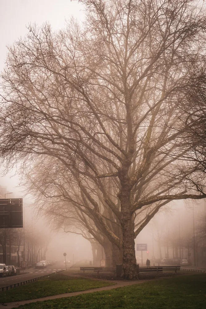 Rotterdam