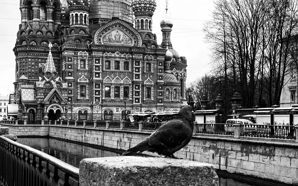 Saint Petersburg