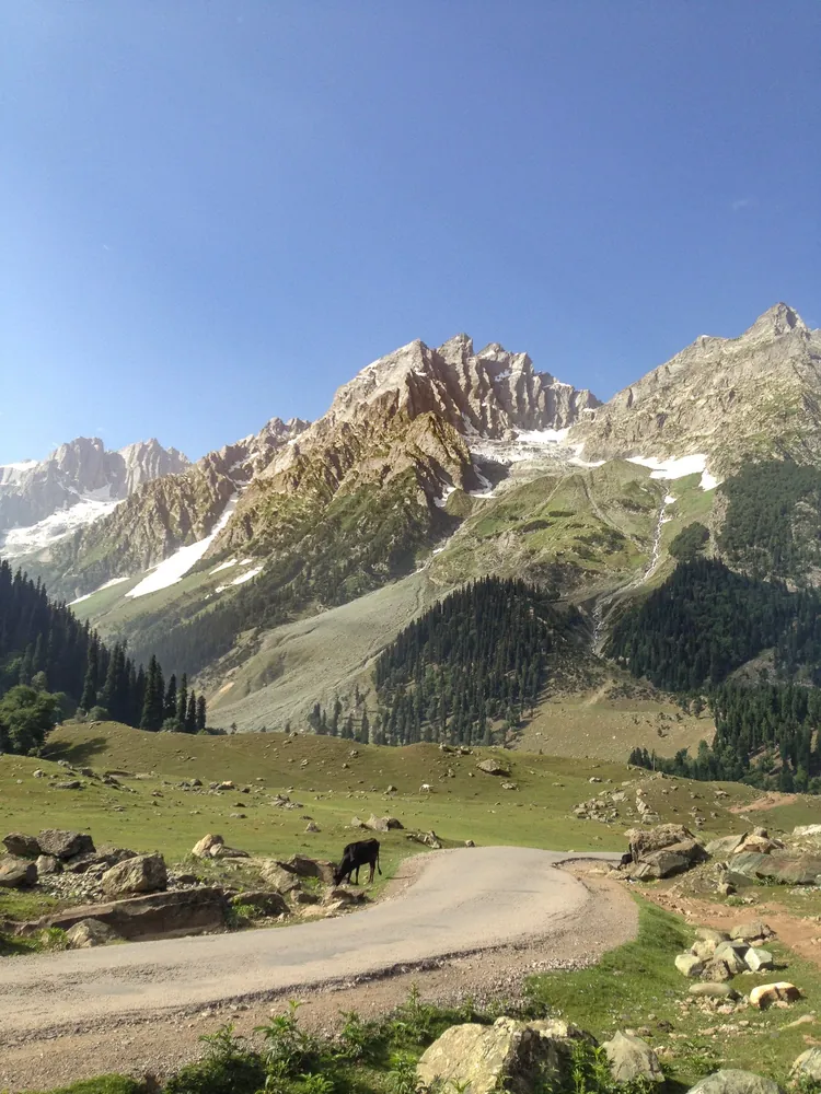Sonamarg
