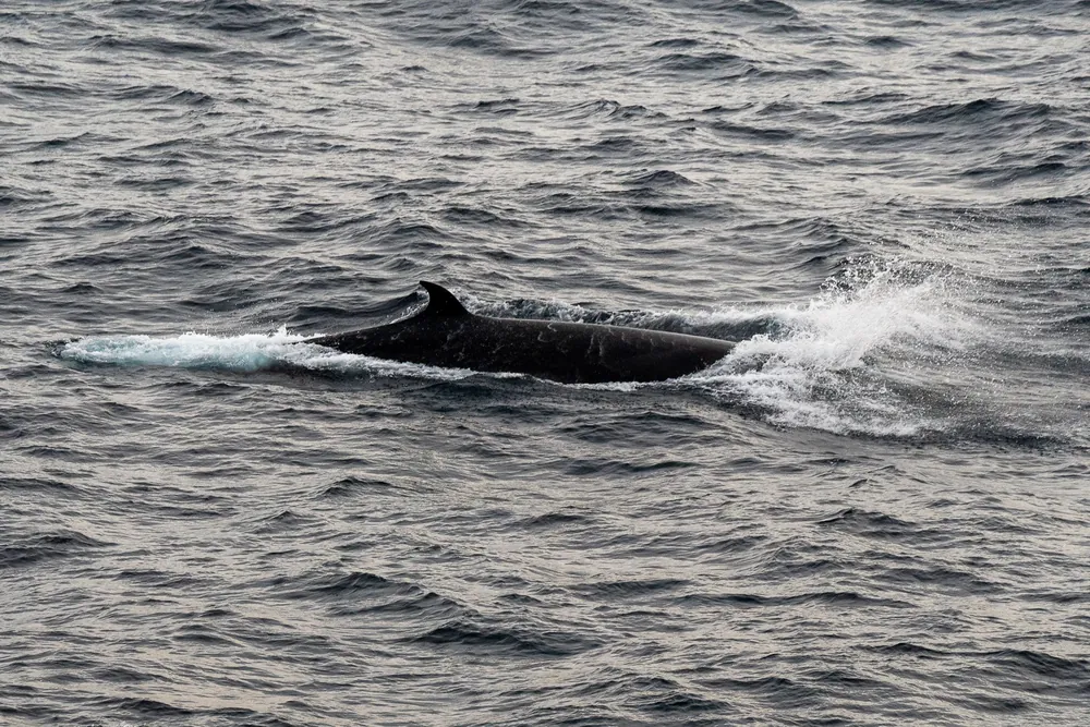 The Drake Passage