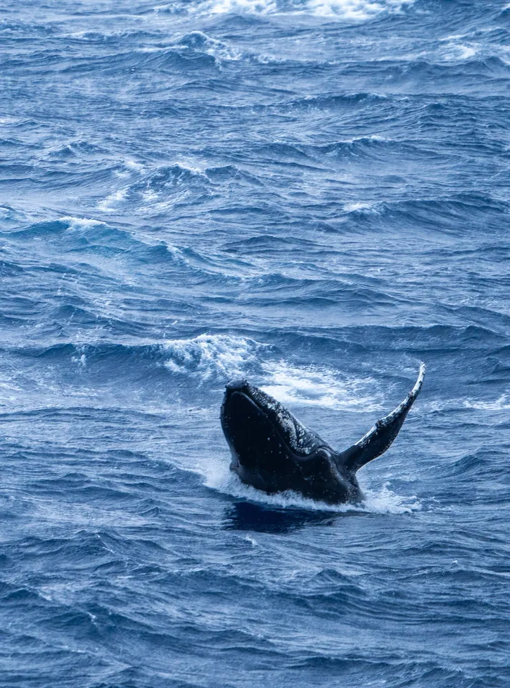 The Drake Passage