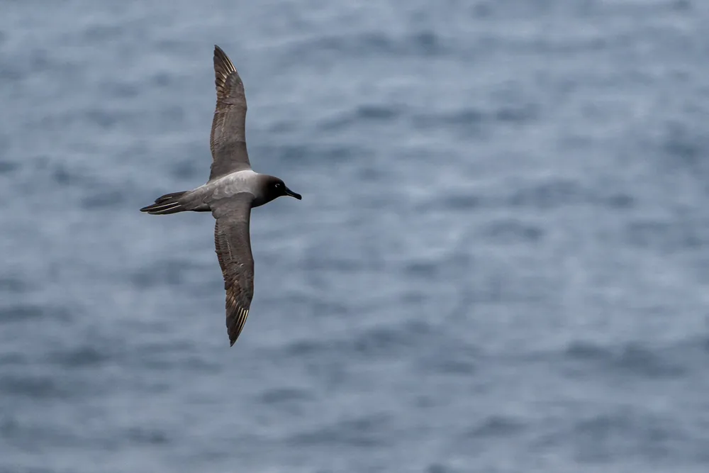 The Drake Passage