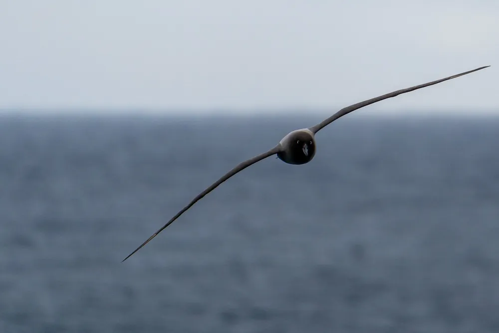 The Drake Passage