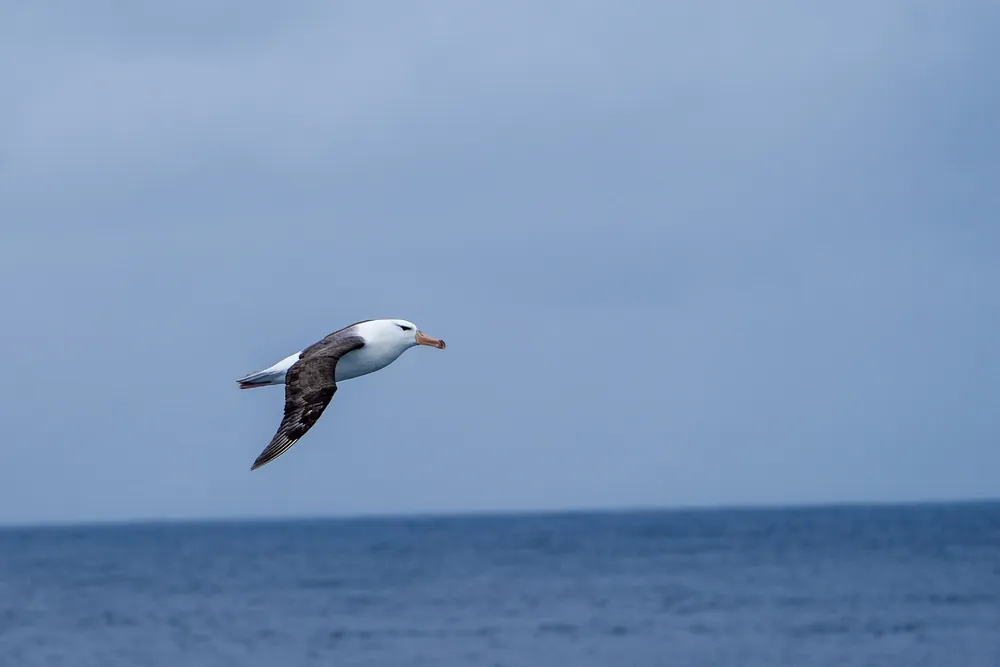 The Drake Passage