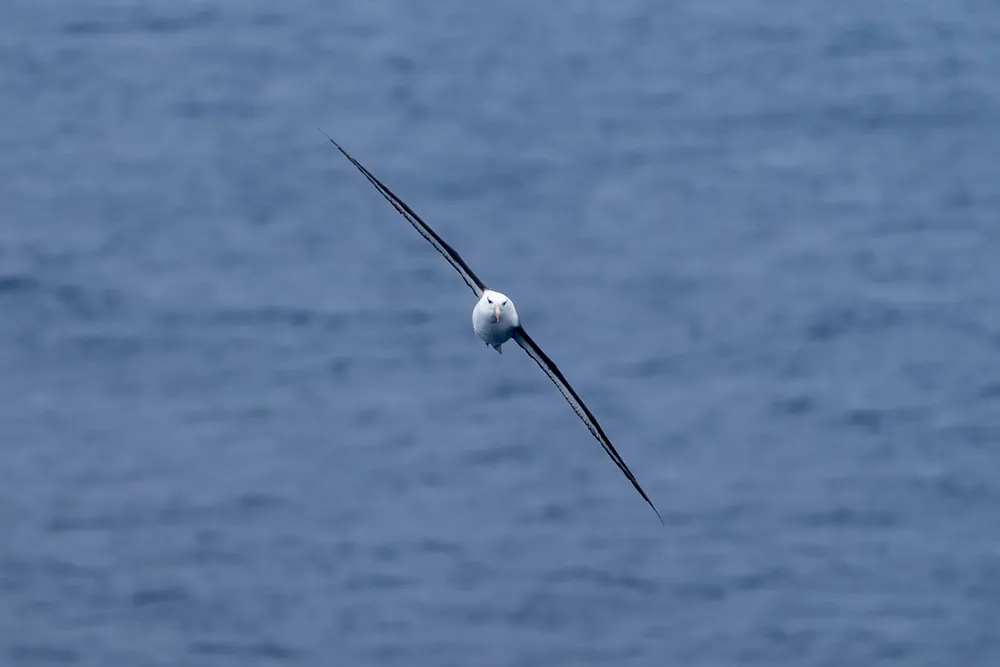 The Drake Passage