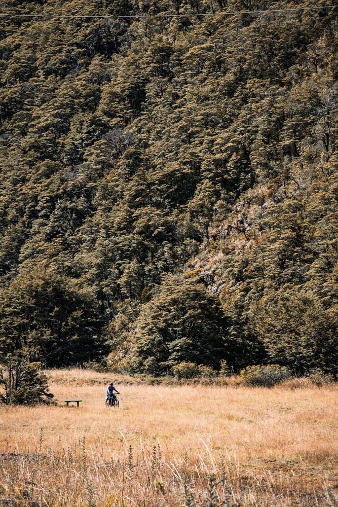 TranzAlpine
