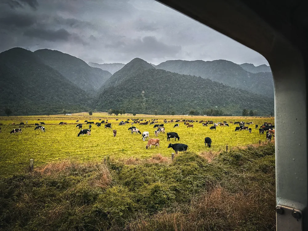 TranzAlpine