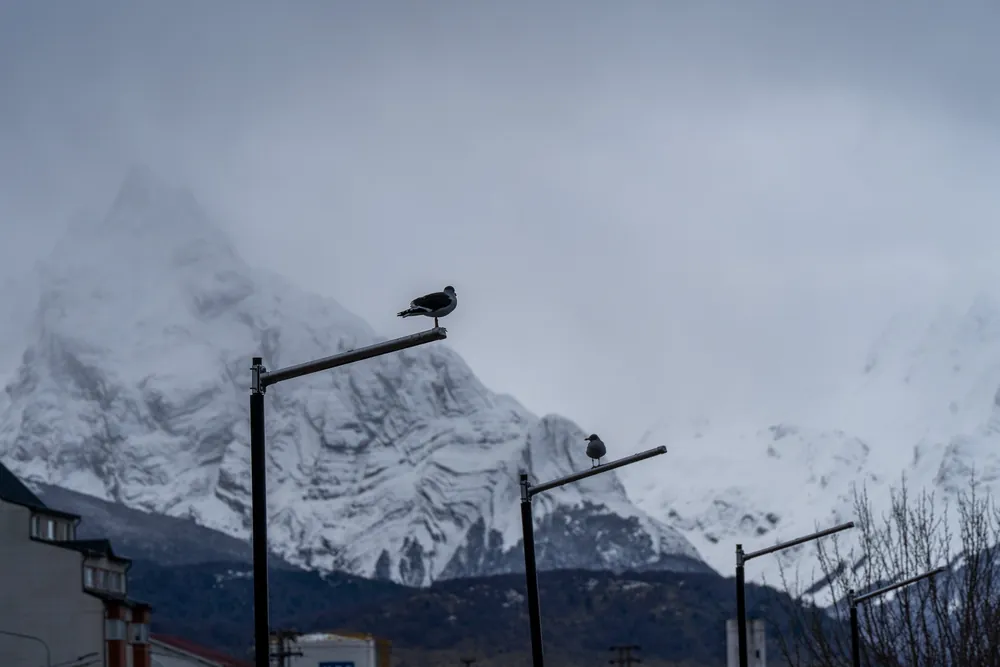 Ushuaia #2